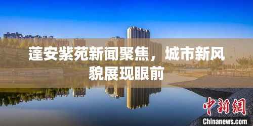 蓬安紫苑新闻聚焦,城市新风貌展现眼前