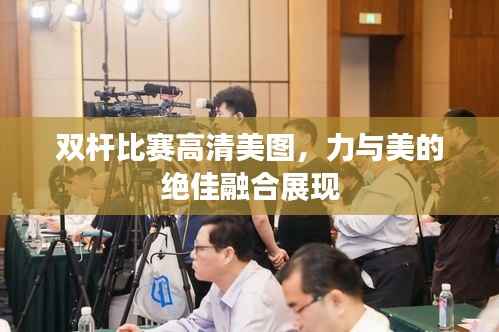 双杆比赛高清美图,力与美的绝佳融合展现