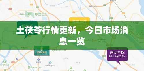 土茯苓行情更新,今日市场消息一览