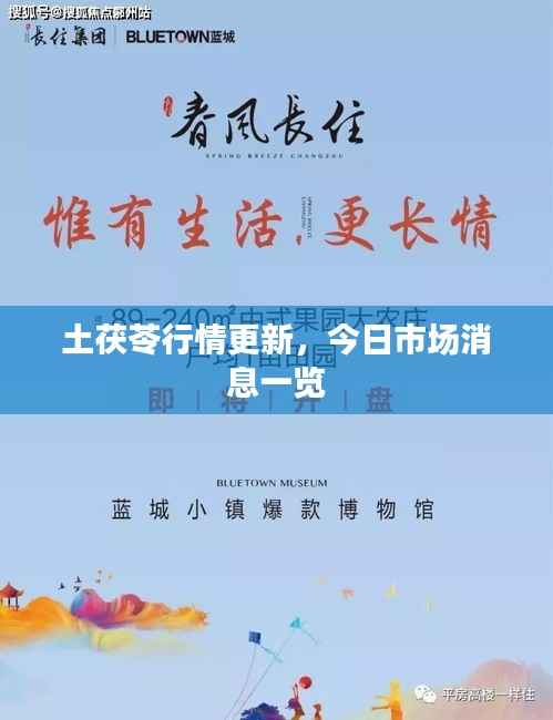 土茯苓行情更新,今日市场消息一览