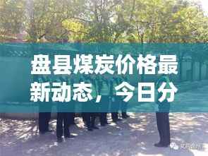 盘县煤炭价格最新动态,今日分析与未来展望