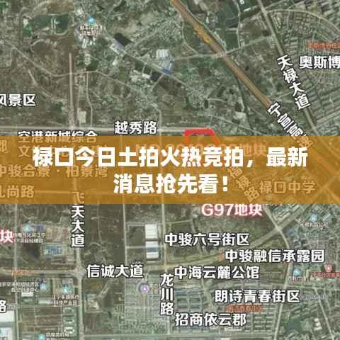 禄口今日土拍火热竞拍,最新消息抢先看!