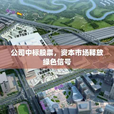 公司中标股票,资本市场释放绿色信号