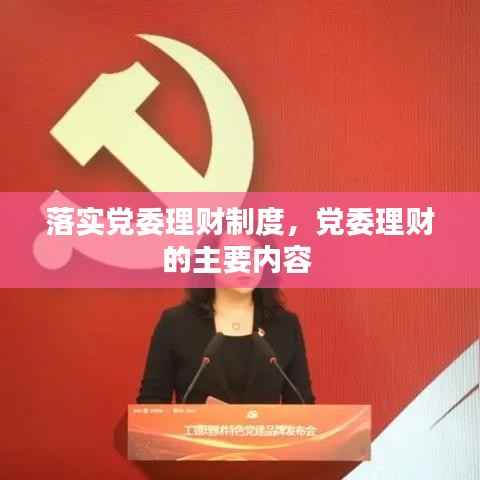 落实党委理财制度,党委理财的主要内容