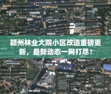 赣州林业大院小区改造重磅更新,最新动态一网打尽!