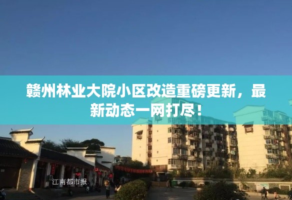 赣州林业大院小区改造重磅更新,最新动态一网打尽!