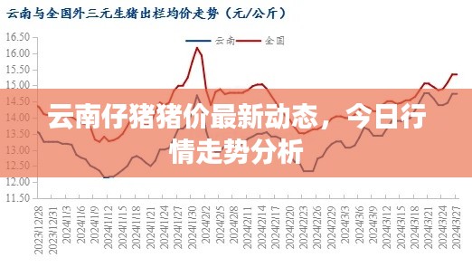 云南仔猪猪价最新动态,今日行情走势分析