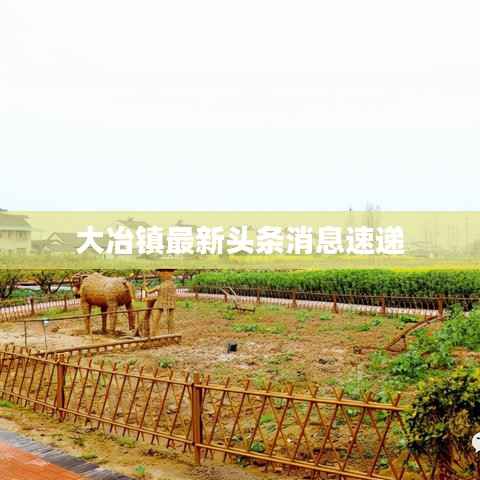 大冶镇最新头条消息速递