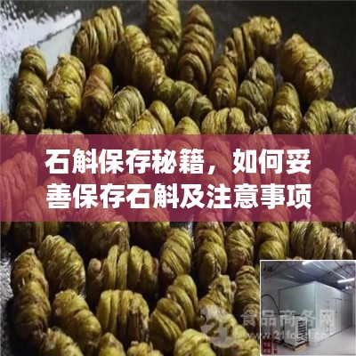 石斛保存秘籍,如何妥善保存石斛及注意事项,百度权威指南