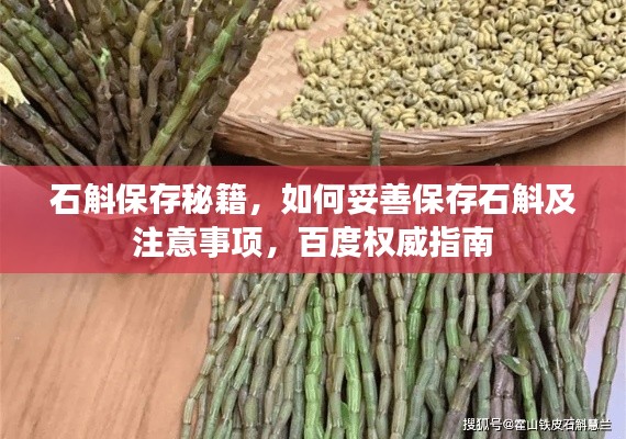 石斛保存秘籍,如何妥善保存石斛及注意事项,百度权威指南
