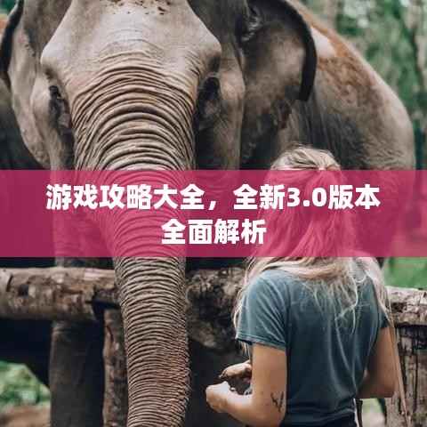 游戏攻略大全,全新3.0版本全面解析