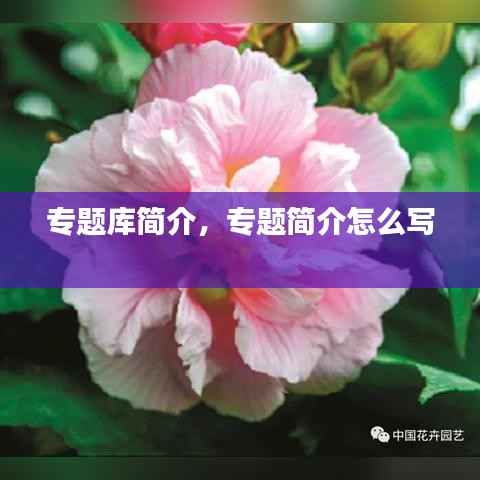 专题库简介,专题简介怎么写