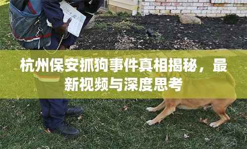 杭州保安抓狗事件真相揭秘,最新视频与深度思考