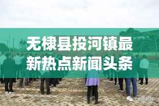 无棣县投河镇最新热点新闻头条