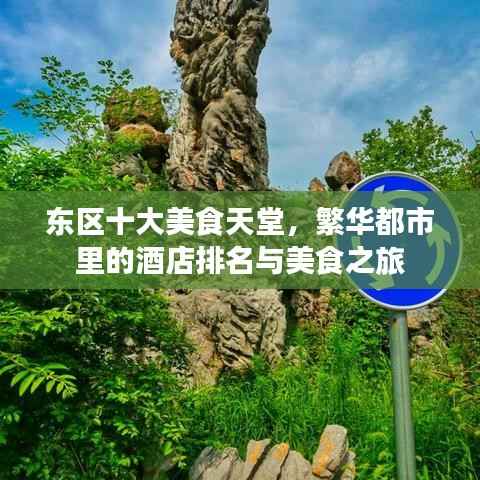 东区十大美食天堂,繁华都市里的酒店排名与美食之旅