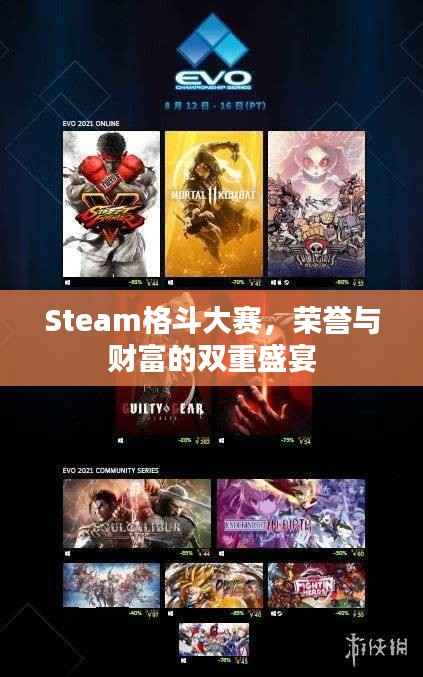 Steam格斗大赛,荣誉与财富的双重盛宴