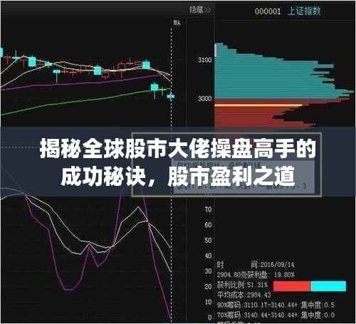 揭秘全球股市大佬操盘高手的成功秘诀,股市盈利之道