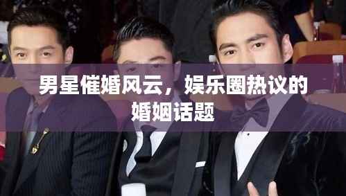 男星催婚风云,娱乐圈热议的婚姻话题