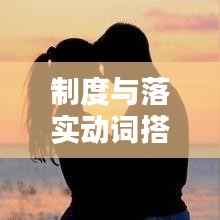 制度与落实动词搭配,制度落实如何表达