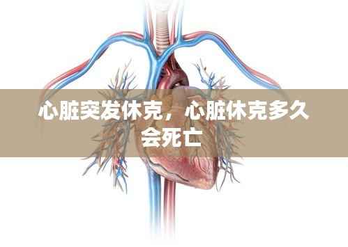 心脏突发休克,心脏休克多久会死亡
