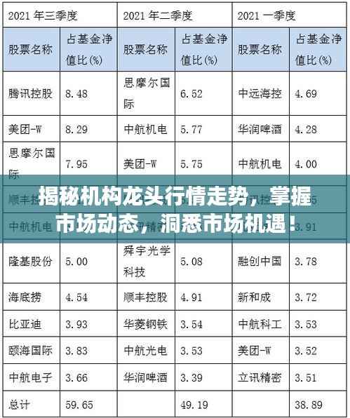 揭秘机构龙头行情走势,掌握市场动态,洞悉市场机遇!