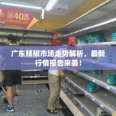 广东辣椒市场走势解析,最新行情报告来袭!