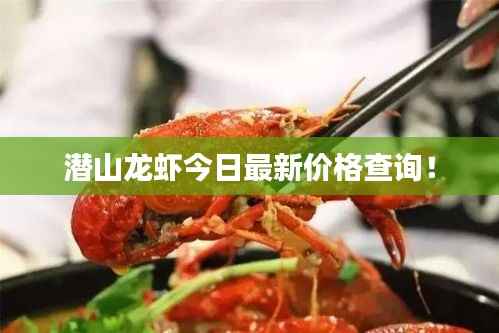 潜山龙虾今日最新价格查询!