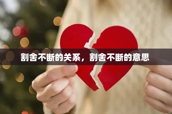 割舍不断的关系,割舍不断的意思