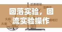 回落实验,回流实验操作视频