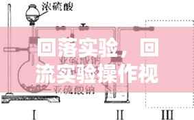 回落实验,回流实验操作视频