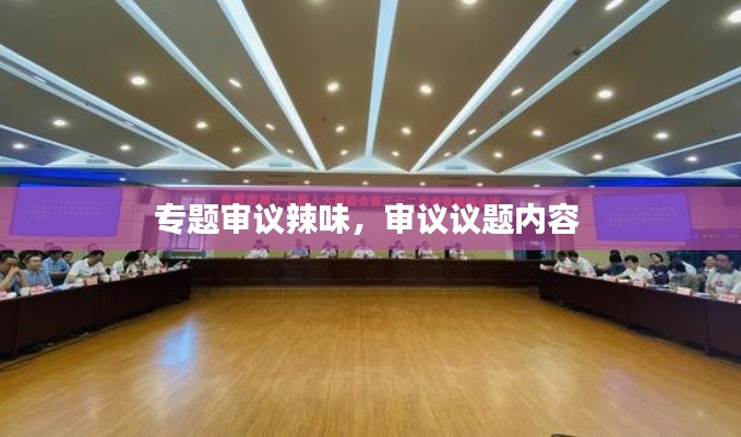 专题审议辣味,审议议题内容
