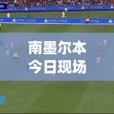 金石为开 第2页