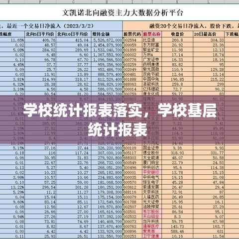 学校统计报表落实,学校基层统计报表