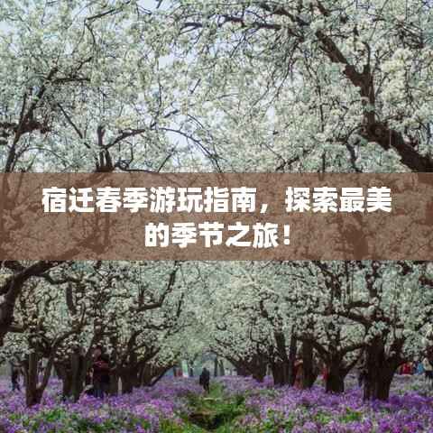 宿迁春季游玩指南,探索最美的季节之旅!
