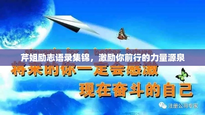 芹姐励志语录集锦,激励你前行的力量源泉