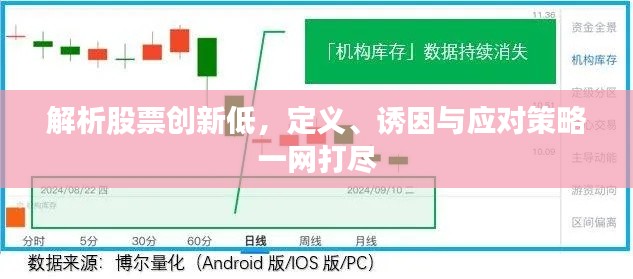 解析股票创新低,定义、诱因与应对策略一网打尽