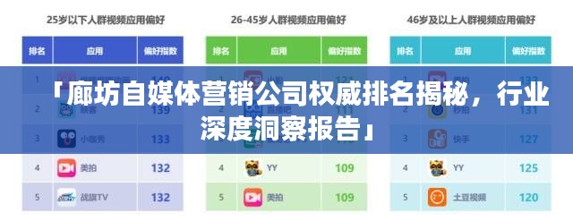 「廊坊自媒体营销公司权威排名揭秘,行业深度洞察报告」