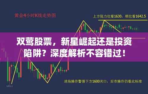 双莺股票,新星崛起还是投资陷阱?深度解析不容错过!