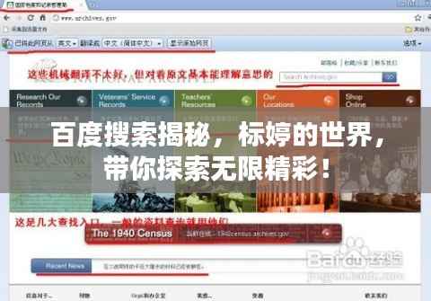 百度搜索揭秘,标婷的世界,带你探索无限精彩!