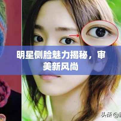 明星侧脸魅力揭秘,审美新风尚