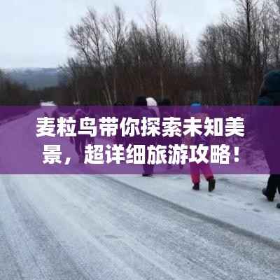 麦粒鸟带你探索未知美景,超详细旅游攻略!