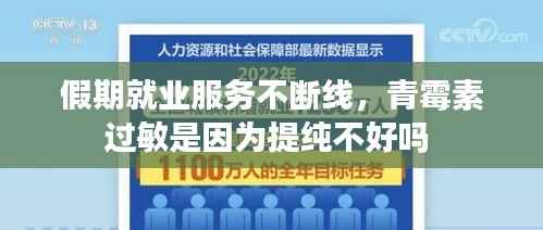 假期就业服务不断线,青霉素过敏是因为提纯不好吗