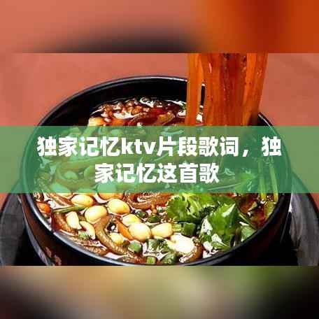 独家记忆ktv片段歌词,独家记忆这首歌