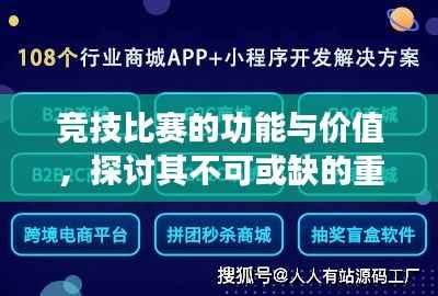 竞技比赛的功能与价值,探讨其不可或缺的重要性
