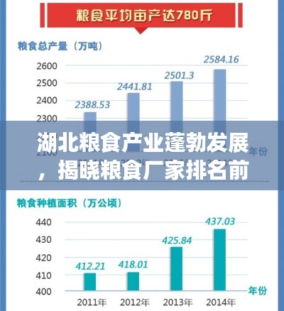 湖北粮食产业蓬勃发展,揭晓粮食厂家排名前十强!