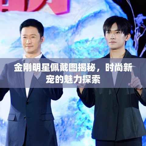 金刚明星佩戴图揭秘,时尚新宠的魅力探索