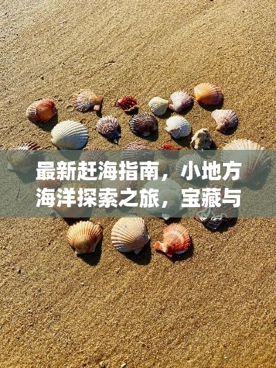 最新赶海指南,小地方海洋探索之旅,宝藏与美景一网打尽
