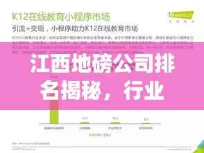 江西地磅公司排名揭秘,行业深度分析与市场概览