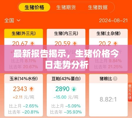 最新报告揭示,生猪价格今日走势分析