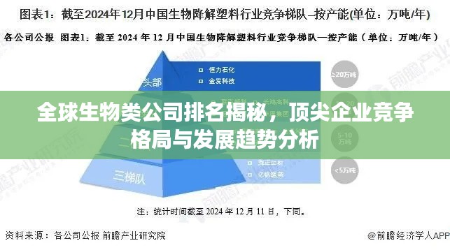全球生物类公司排名揭秘,顶尖企业竞争格局与发展趋势分析